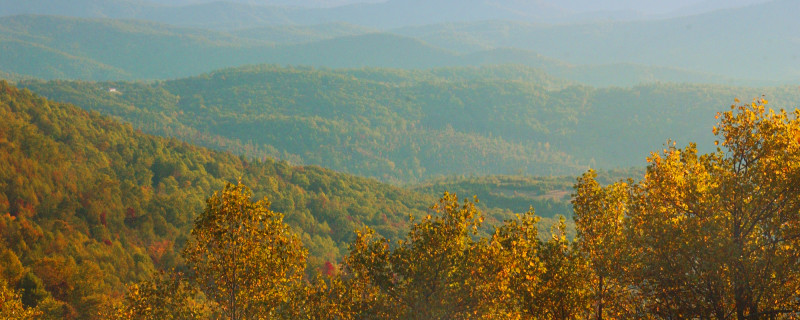 Fall Color with Mountains View