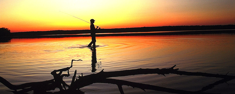 Fishing at Jordan Lake State Recreation Area (1)